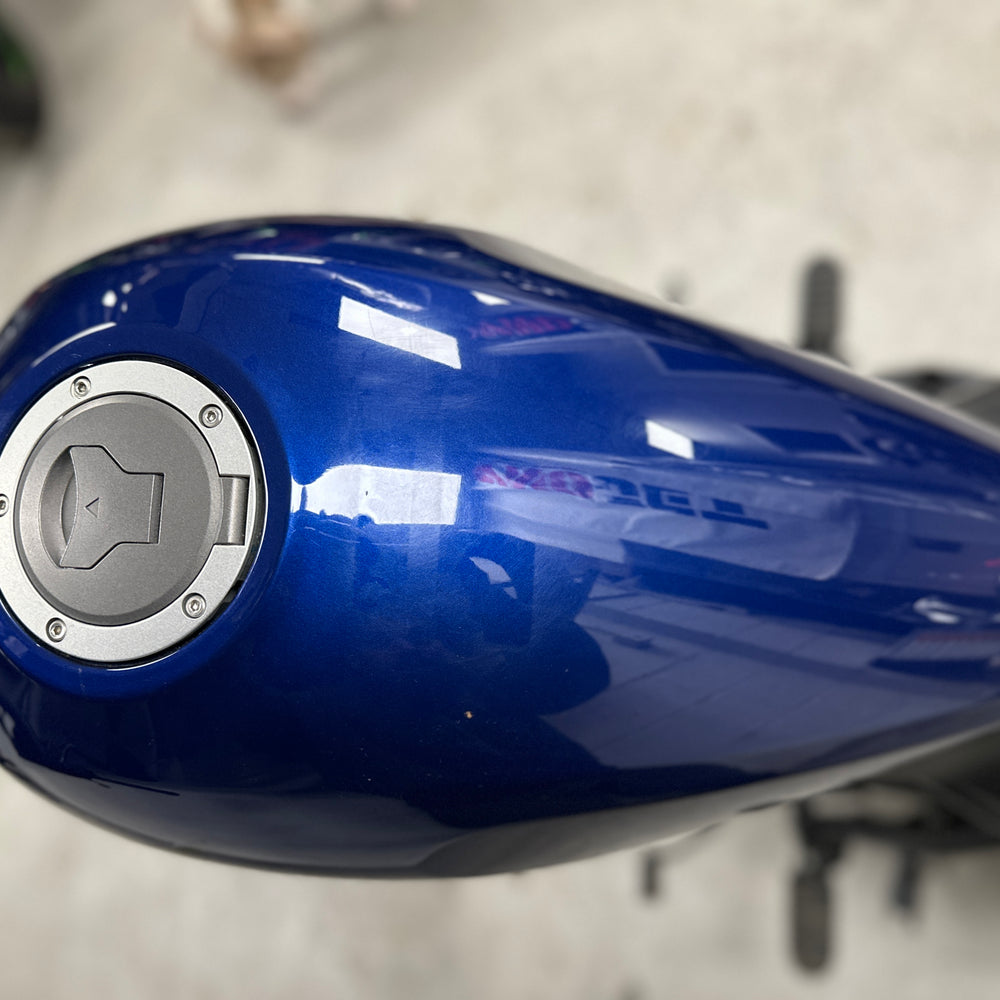 
                      
                        2021 HONDA REBEL 300 ABS BLUE
                      
                    