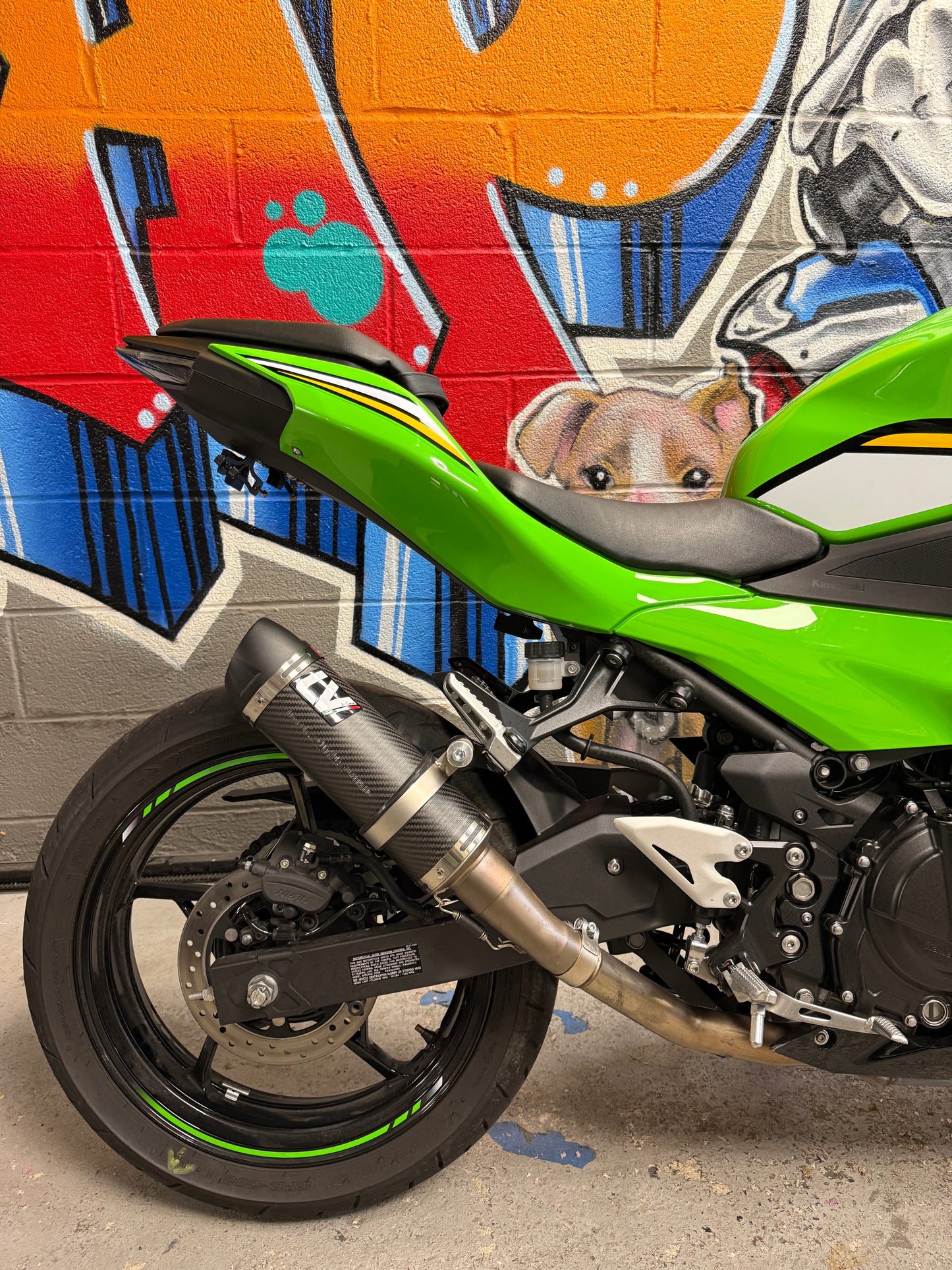 2025 Kawasaki Ninja 500 KRT Leo Vince