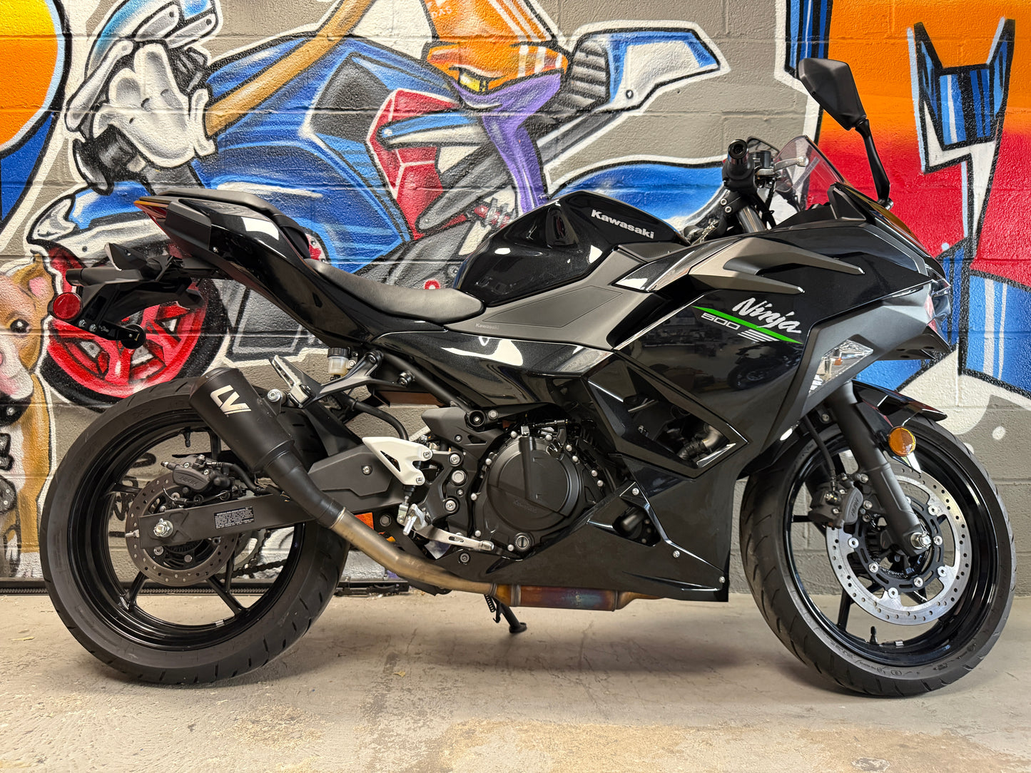 2024 Kawasaki Ninja 500 LEO VINCE